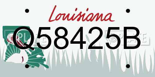 Q58425B Louisiana License Plate