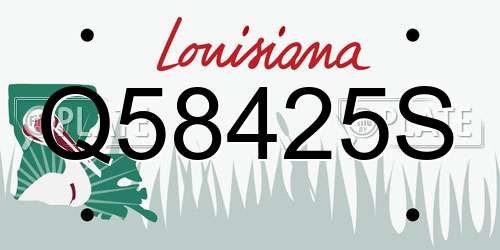 Q58425S Louisiana License Plate
