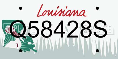 Q58428S Louisiana License Plate