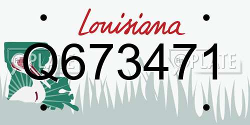 Q673471 Louisiana License Plate