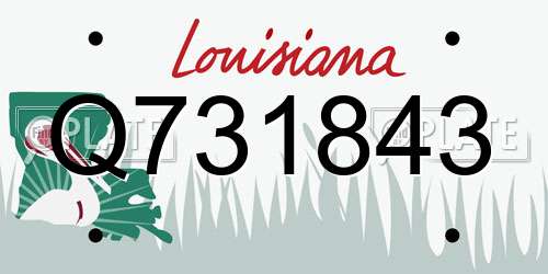 Q731843 Louisiana License Plate