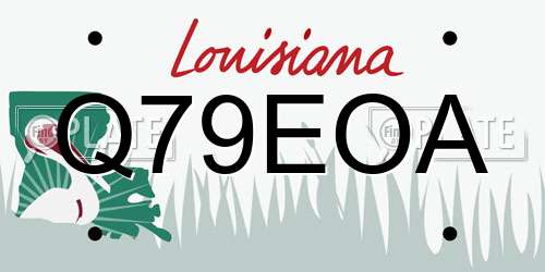 Q79EOA Louisiana License Plate