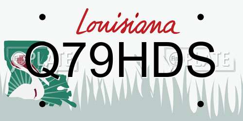 Q79HDS Louisiana License Plate