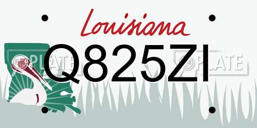 Q825ZI Louisiana License Plate