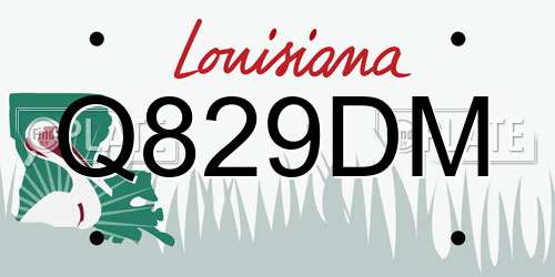 Q829DM Louisiana License Plate