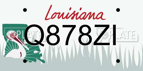 Q878ZI Louisiana License Plate