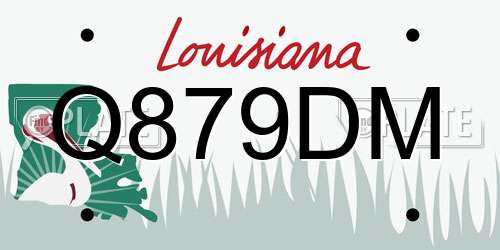 Q879DM Louisiana License Plate