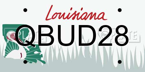 QBUD28 Louisiana License Plate