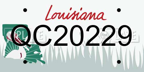 QC20229 Louisiana License Plate