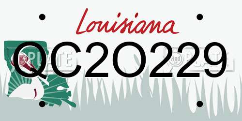 QC2O229 Louisiana License Plate