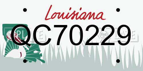 QC70229 Louisiana License Plate