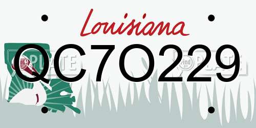QC7O229 Louisiana License Plate