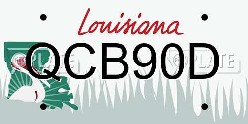 QCB90D Louisiana License Plate