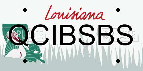 QCIBSBS Louisiana License Plate