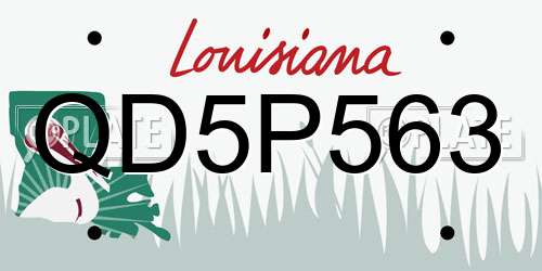 QD5P563 Louisiana License Plate
