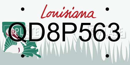 QD8P563 Louisiana License Plate