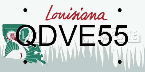 QDVE55 Louisiana License Plate