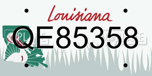 QE85358 Louisiana License Plate