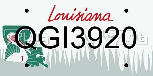 QGI3920 Louisiana License Plate