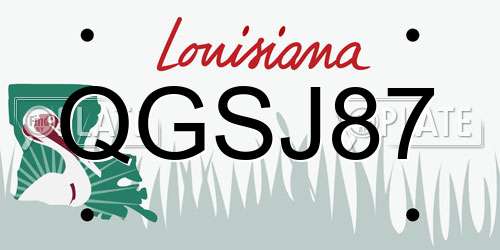 QGSJ87 Louisiana License Plate
