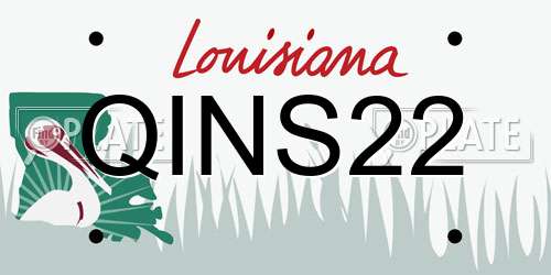 QINS22 Louisiana License Plate