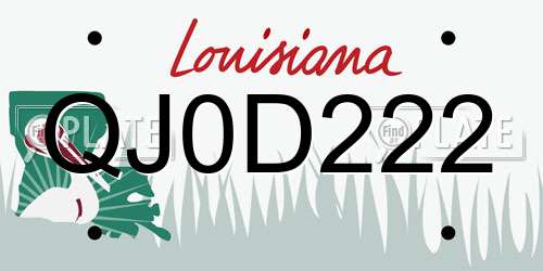 QJ0D222 Louisiana License Plate