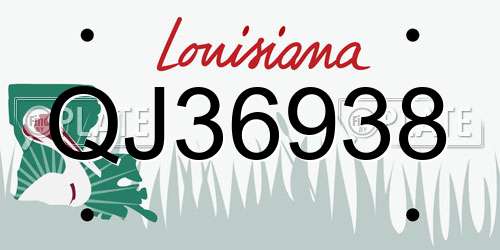 QJ36938 Louisiana License Plate