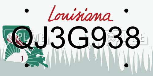 QJ3G938 Louisiana License Plate