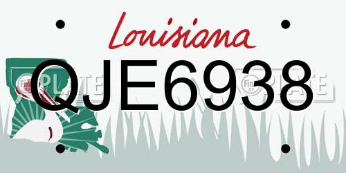 QJE6938 Louisiana License Plate