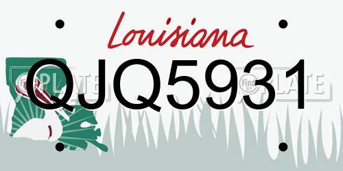 QJQ5931 Louisiana License Plate