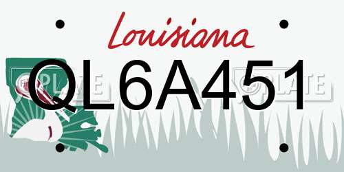 QL6A451 Louisiana License Plate