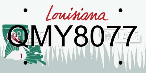 QMY8077 Louisiana License Plate
