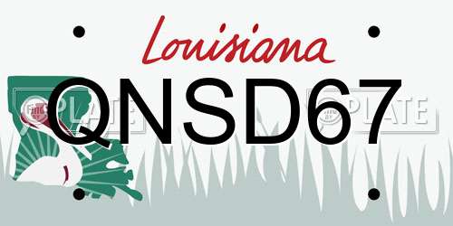QNSD67 Louisiana License Plate