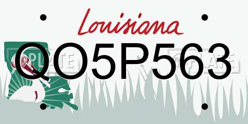 QO5P563 Louisiana License Plate