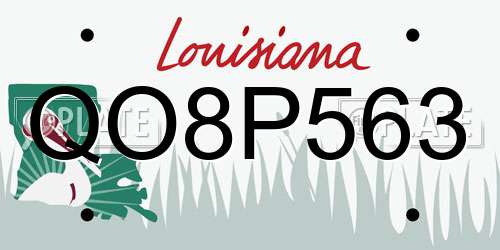 QO8P563 Louisiana License Plate