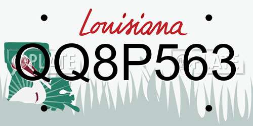QQ8P563 Louisiana License Plate