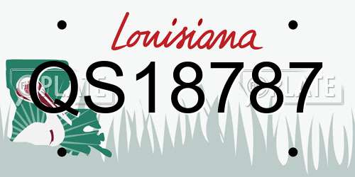 QS18787 Louisiana License Plate