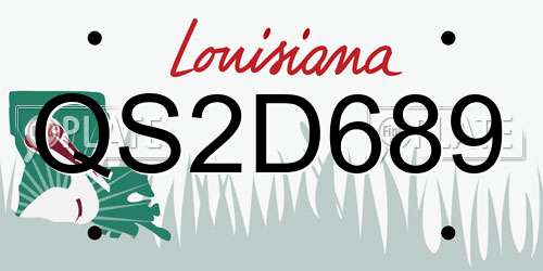 QS2D689 Louisiana License Plate