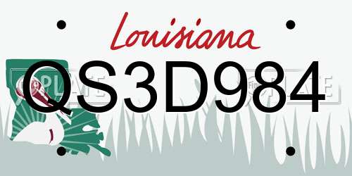 QS3D984 Louisiana License Plate