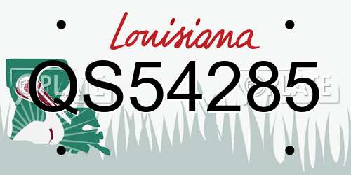 QS54285 Louisiana License Plate