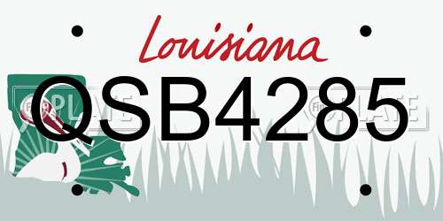 QSB4285 Louisiana License Plate