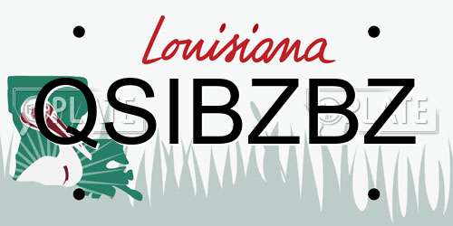 QSIBZBZ Louisiana License Plate