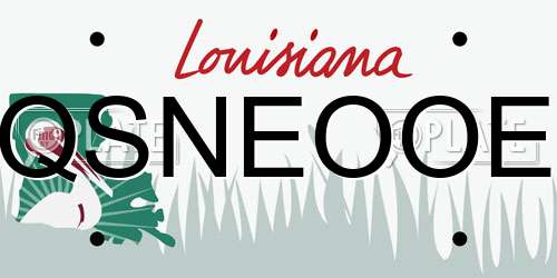 QSNEOOE Louisiana License Plate