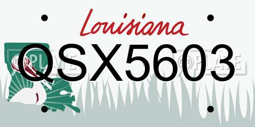 QSX5603 Louisiana License Plate
