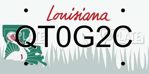 QT0G2C Louisiana License Plate