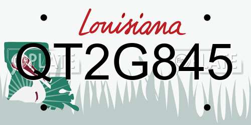 QT2G845 Louisiana License Plate