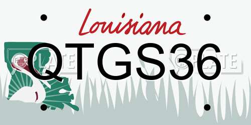 QTGS36 Louisiana License Plate