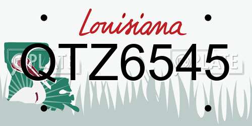QTZ6545 Louisiana License Plate