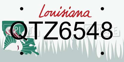QTZ6548 Louisiana License Plate