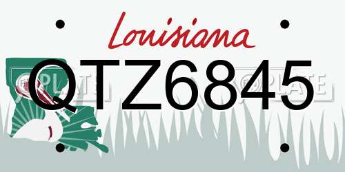 QTZ6845 Louisiana License Plate